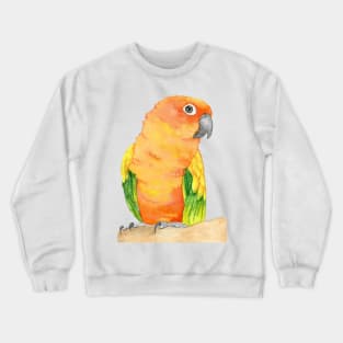 sun parakeet watercolor bird portrait painting Crewneck Sweatshirt